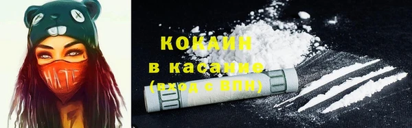 соль ск Алексеевка