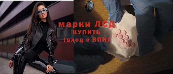 PSILOCYBIN Алзамай
