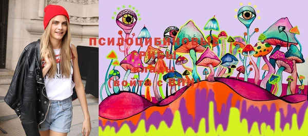 соль ск Алексеевка