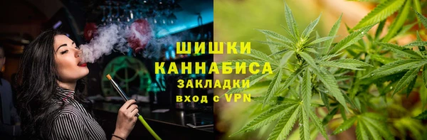 PSILOCYBIN Алзамай