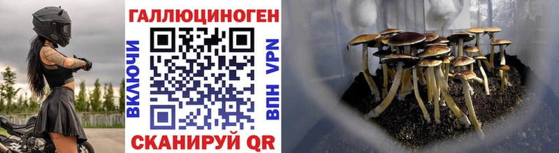 Псилоцибиновые грибы прущие грибы  купить закладку  Жигулёвск 